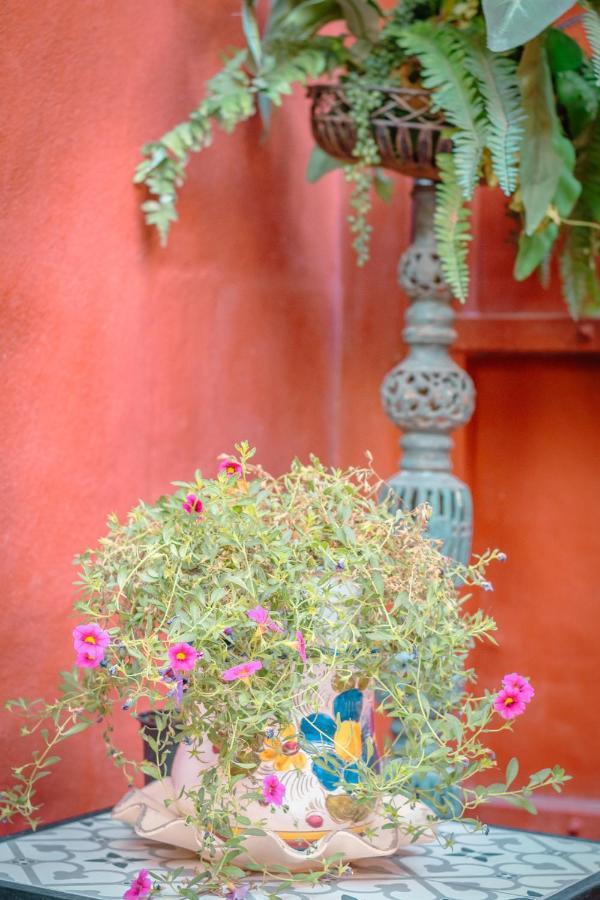 Willa Flatguest Casa Del Sol - Terrace - Parking Las Palmas de Gran Canaria Zewnętrze zdjęcie